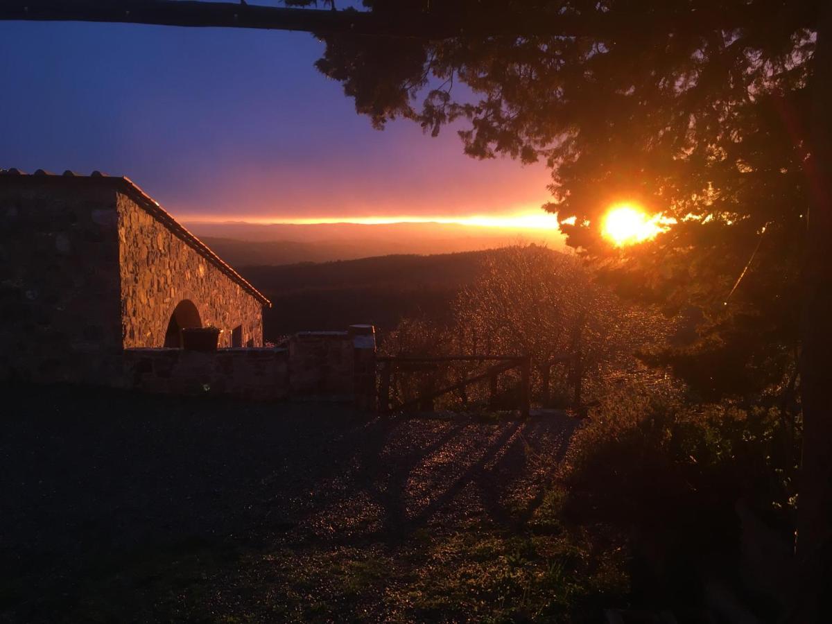 Casa Ercole Farm Stay Greve in Chianti Zewnętrze zdjęcie