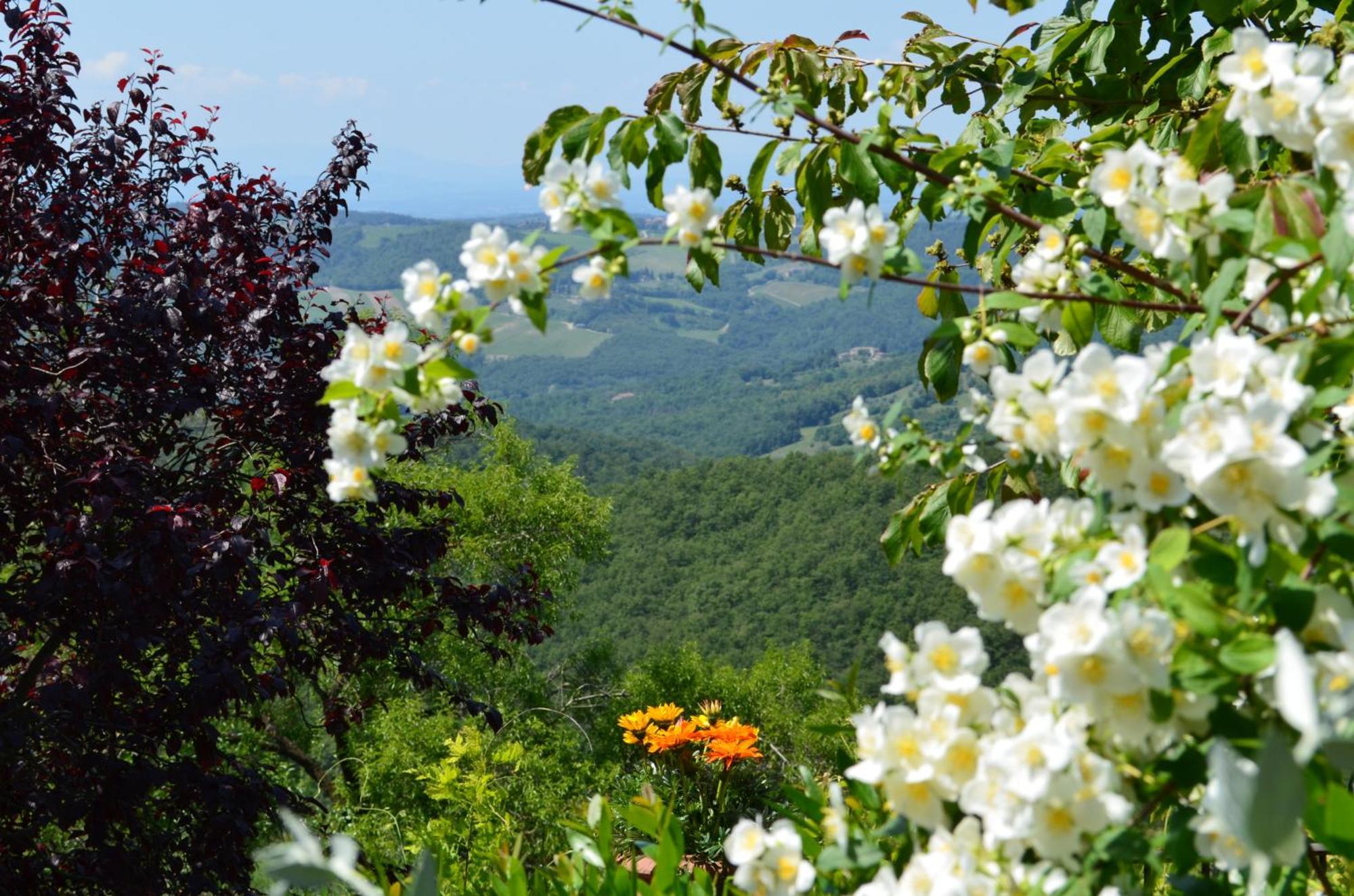 Casa Ercole Farm Stay Greve in Chianti Zewnętrze zdjęcie