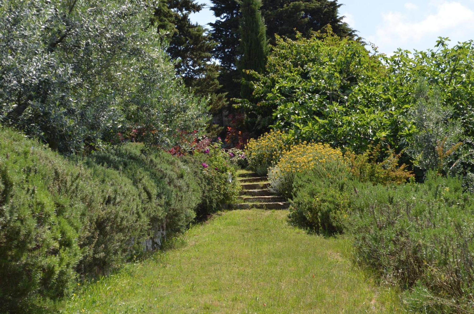 Casa Ercole Farm Stay Greve in Chianti Zewnętrze zdjęcie