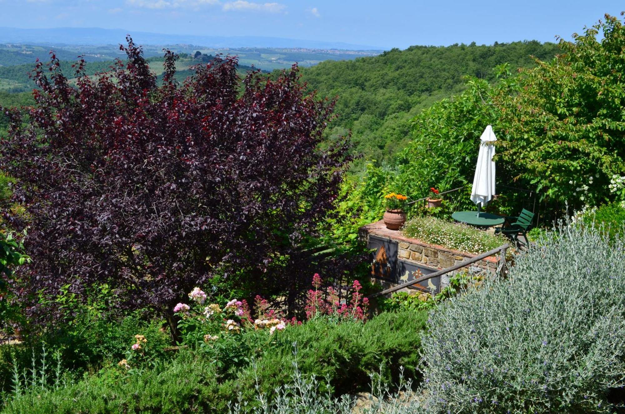 Casa Ercole Farm Stay Greve in Chianti Zewnętrze zdjęcie