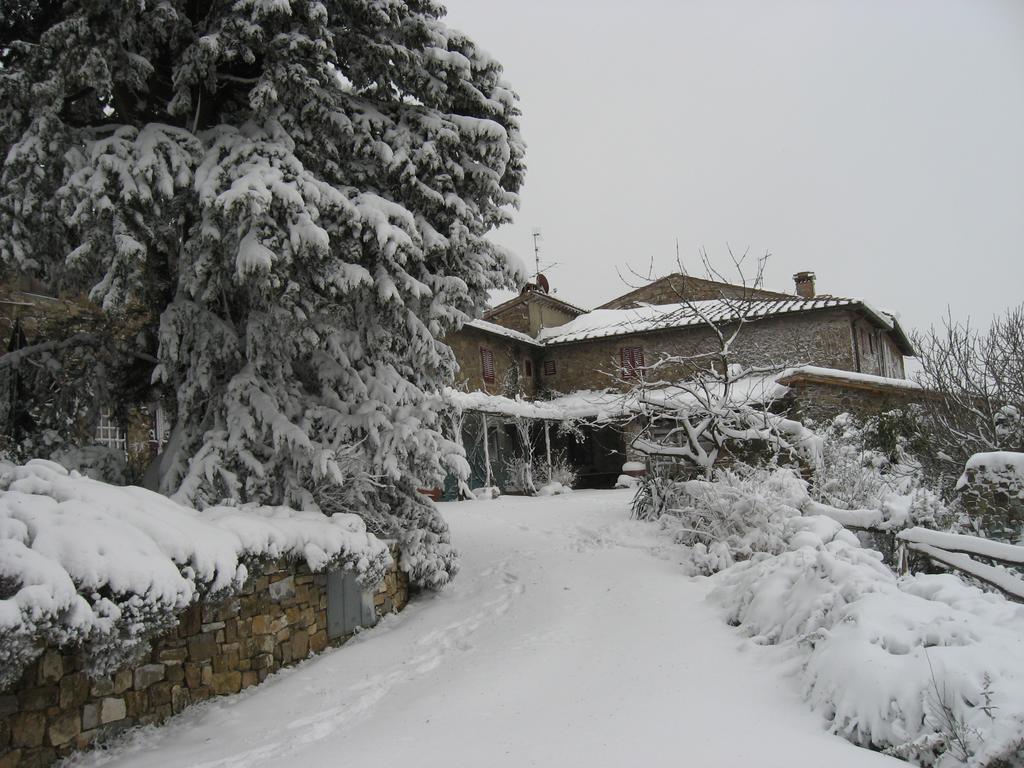 Casa Ercole Farm Stay Greve in Chianti Zewnętrze zdjęcie